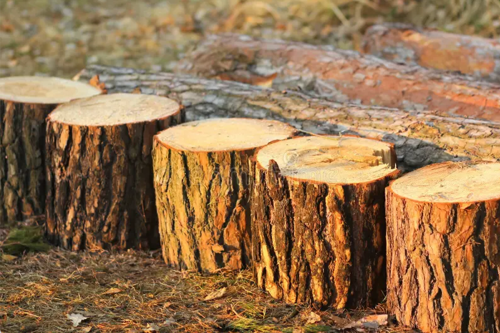 Screenshot 2025 05 31 at 10